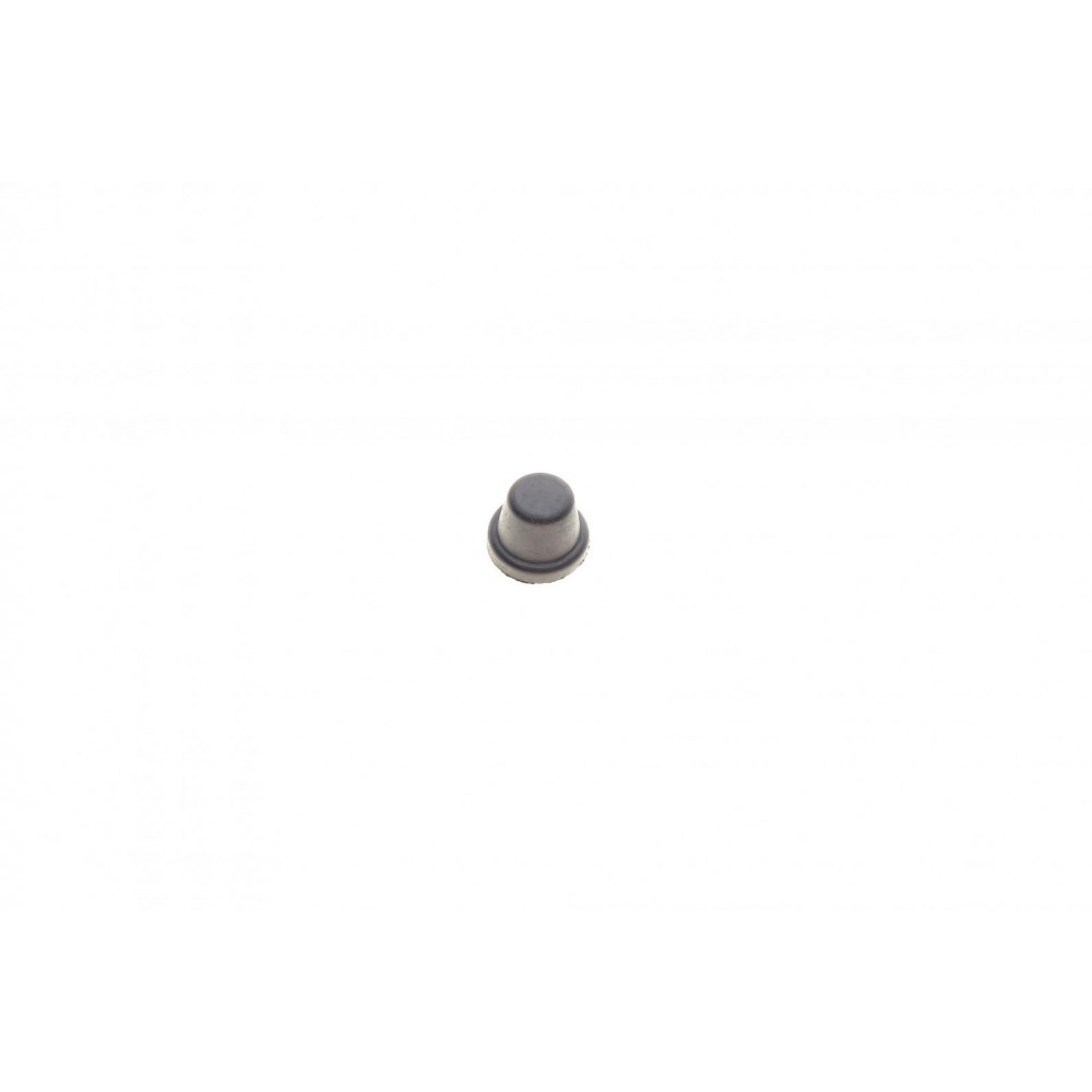 Ремкомплект циліндра гальмівного (заднього) Citroen Jumper/Peugeot Boxer 06-19 (d=25.4mm) (Trw)