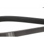 Ремінь генератора Fiat Doblo 1.9D/JTD 01-/Renault Laguna 1.6 01-07 (+AC) (6PK1815)