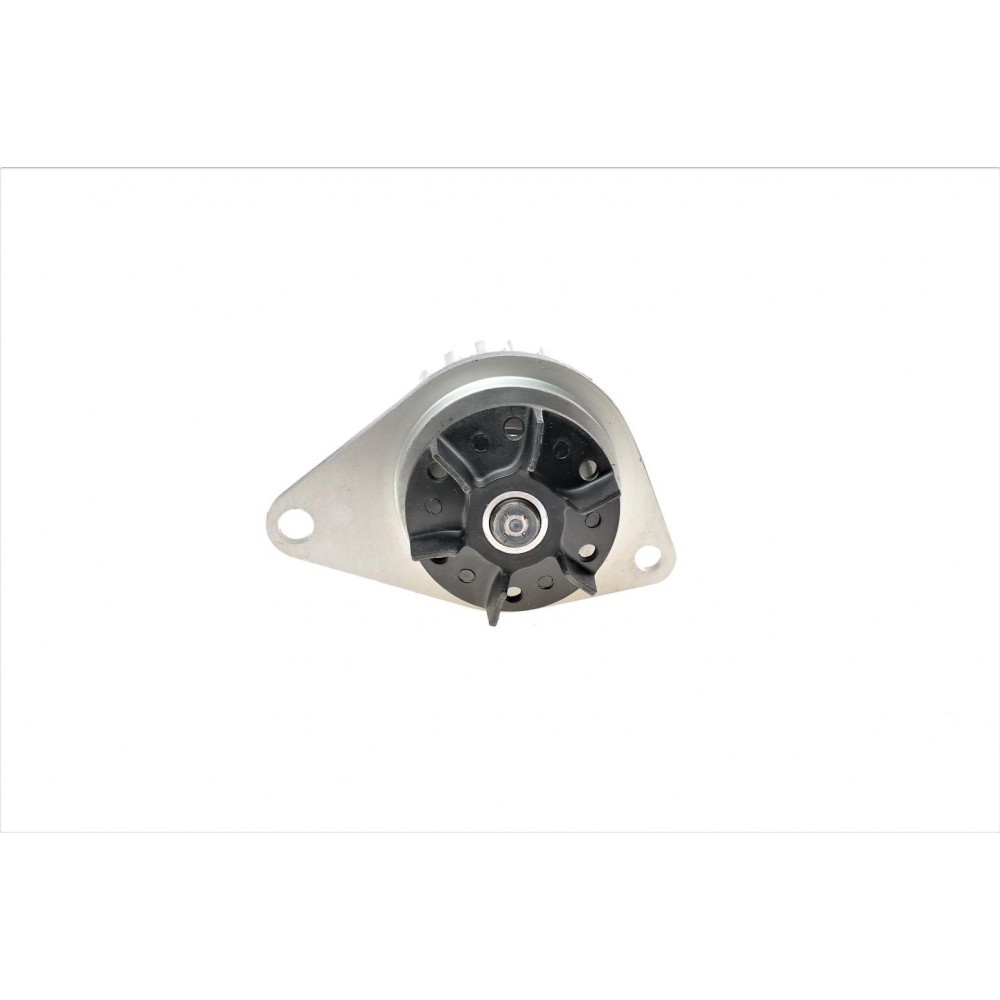 Помпа води Citroen Berlingo/Peugeot 106/205/206/306/307/309/Partner 1.1/1.4i 86- (20z)