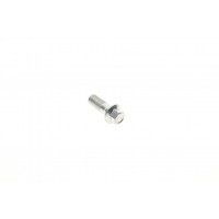 Болт Banjo (банжо) M10x1mm (11x37)