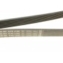 Ремінь генератора MB Vito (W638) 2.2CDI (OM611) (6PK2160)
