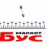 Автолампа C3W 12V 3W SV7-8 (S7d) (пальчик 8x38mm)