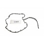 Прокладка кришки клапанів BMW 3 (E46-E92) 03-/Opel Omega B 2.5DTI 01-03