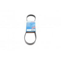 Ремінь генератора Ford Focus 1.4/1.6 Ti 03- (5PK868)