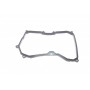 Фільтр АКПП Skoda Fabia/Octavia II/Roomster/VW Golf/Polo 1.4-2.0 TDI 04- (з прокладкою) (6 ступен)
