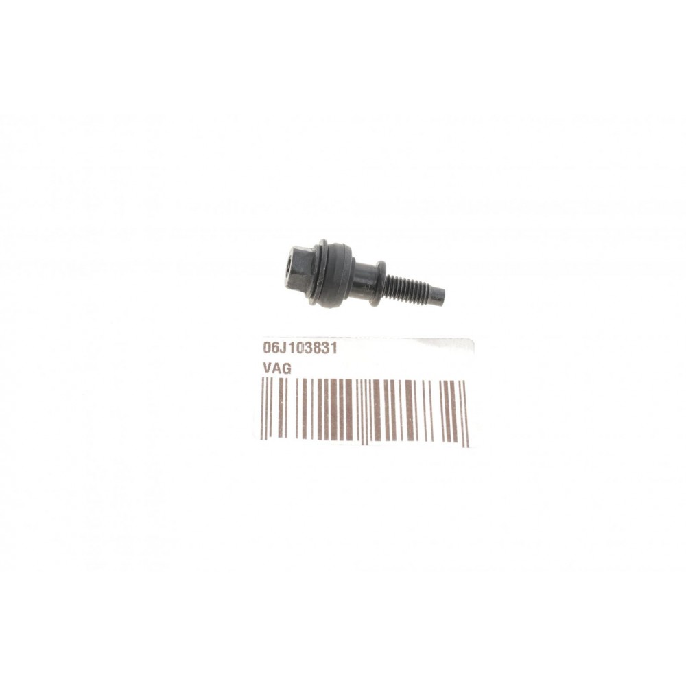 Болт кришки клапанної VW Golf V/VI/Passat B6/B7 1.8/2.0 TFSI 04-16