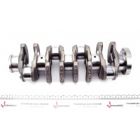 Колінчастий вал Ford Transit/Citroen Jumper 2.2HDi/TDCi 04-