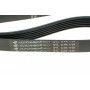 Ремінь генератора Opel Vectra/Omega/Peugeot 206/Audi A6 2.5TDI 94- (6PK1725)