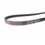 Ремінь генератора Citroen Jumper 3.0HDi [U9] 116KW/158PS 3.0l 06 -