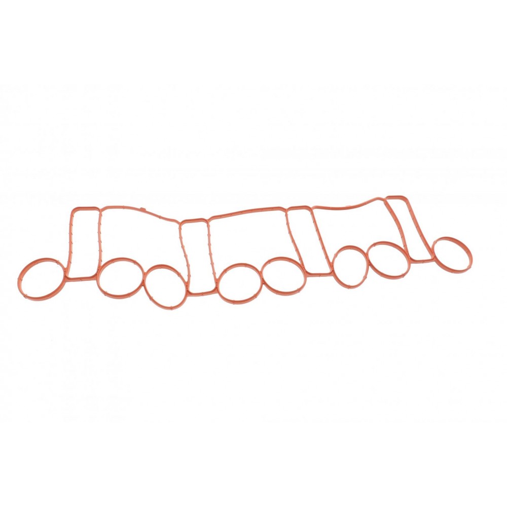 Прокладка колектора впускного VW Golf V 2.0 TDI 03-13