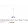 Клапан (впуск) Fiat Scudo/Peugeot Expert 1.4/1.6 89-00 (37.5x8x108.5) (вальцювання)