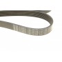 Ремінь генератора BMW 7 (E65/E66/E67) 4.0/4.5D 02-08/Honda Accord 2.0 03-08 (7PK1760)