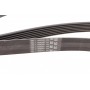 Ремінь генератора MB E-class (W212)/S-class (W221) 09-