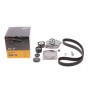 Комплект ГРМ + помпа Renault Clio III/Megane II/III/Scenic II/Trafic 2.0 16V 01- (27x126z)