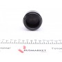 Поршень супорта (переднього) MB C-class (S202/S203) 96- (57x31mm) (Brembo)