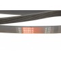 Ремінь генератора Infiniti FX/M45/Lexus GS/Mitsubishi Outlander 1.8-4.5 93-
