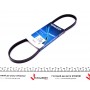 Ремінь генератора Hyundai Accent 1.3-1.6 94-11 (4PK850)