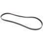 Ремінь генератора Citroen Berlingo/Peugeot Partner 1.6HDI (-AC) ch.10571-