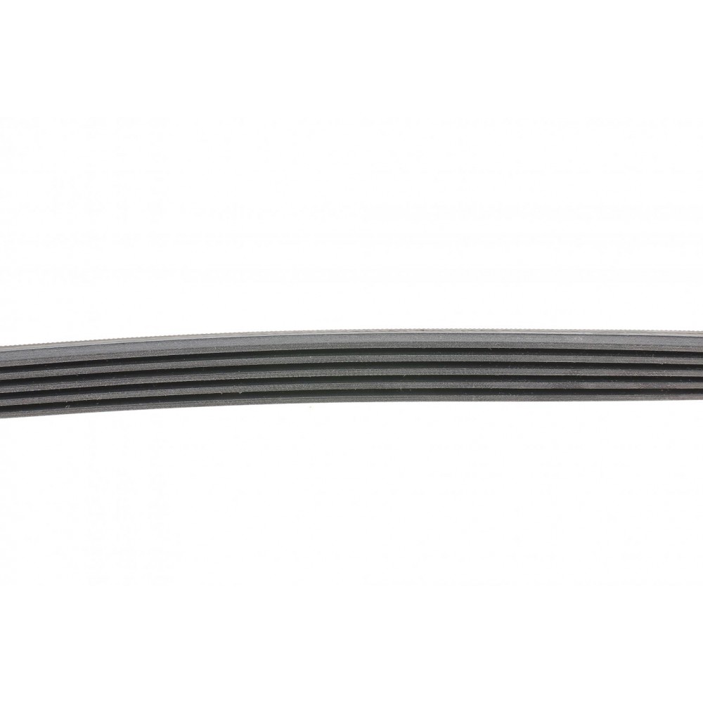 Ремінь генератора BMW 3 (E46)/5 (E39)/7 (E38) 95-05 (5PK865)