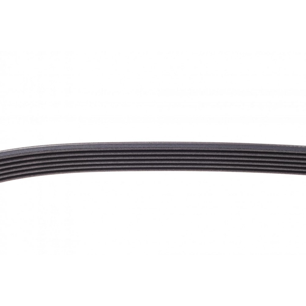 Ремінь генератора VW Polo/Skoda Fabia 1.4/1.9TDI 05-/Nissan Almera/Primera 1.5-1.8 00-08