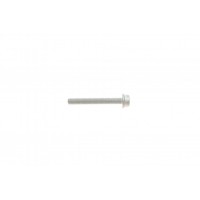Болт кришки клапанної VW Golf/Passat/Tiguan/Touran 08-18