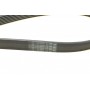 Ремінь генератора BMW 5 (F10/G30/F90)/7 (F01/F02/F03/F04/G11/G12)/X5 (E70)/X6 (E71/E72) 09-