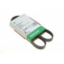 Ремінь генератора Citroen AX/Saxo 1.0-1.4 86-03/Peugeot 106 1.0-1.6i/1.5D 91-01