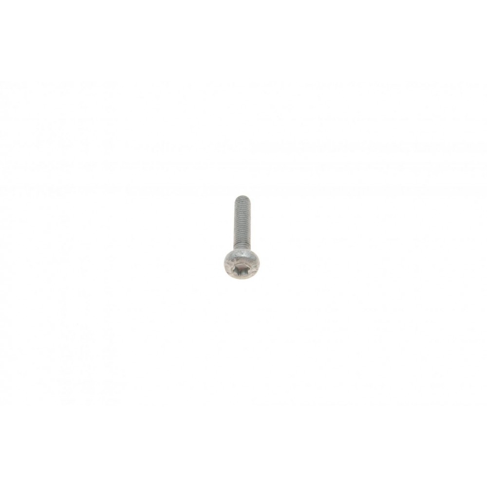 Болт натяжника ланцюга ГРМ Audi A5/A6/A7/Q5/Q7/VW Touareg 18-