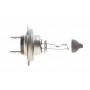 Автолампа H7 24V 70W PX26d Heavy Duty (H7 24 HD)