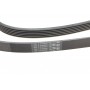Ремінь генератора Audi A4/A6/A8/Q7 2.7/3.0TDI 04- (6PK2490)