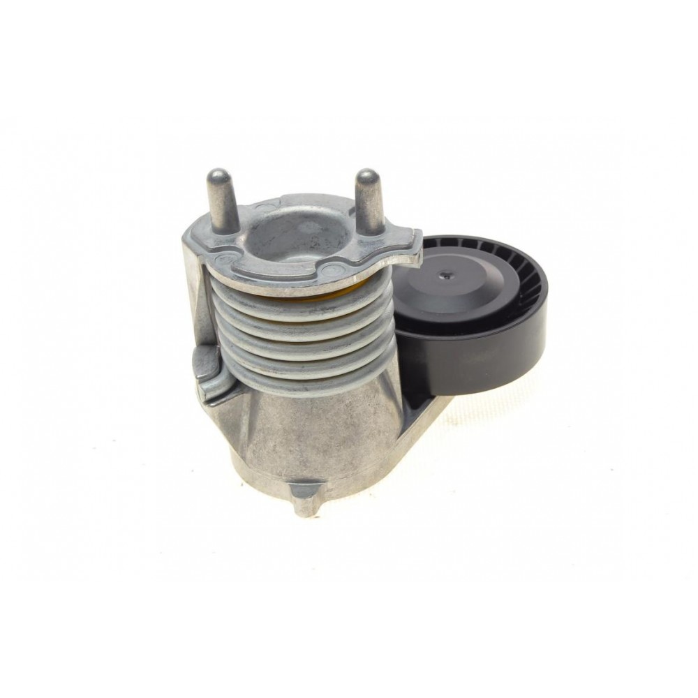 Натяжник ременя генератора Volvo C30/V40/S40/V50 07-
