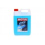 Омивач скла зима (5L) Vision Winter -20° (103838/107787/106456)