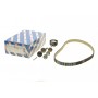 Комплект ГРМ Ford Mondeo/Focus 1.4/1.6i 03-/Volvo C30/S40/V50 1.6 05-12 (22x117z)