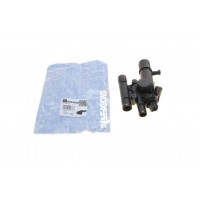 Термостат Renault Megane/Scenic 1.9dCi 02-