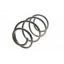 Пружина (передня) Chrysler Voyager IV 2.5CRD 00-08 (вен) (R)