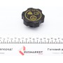 Кришка бачка розширювального Chevrolet Aveo 11-/Opel Astra H/J/Insignia A 08-