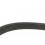 Ремінь генератора Citroen Berlingo/Jumper/Jumpy/Fiat Ducato/Scudo/Peugeot Boxer/Expert (6PK725)