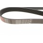 Ремінь генератора Toyota Camry/Avensis/RAV4 2.0/2.4 00-/Land Cruiser Prado 3.0D 00-