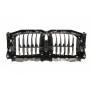 Решітка радіатора BMW X5 (G05/F95) 18-