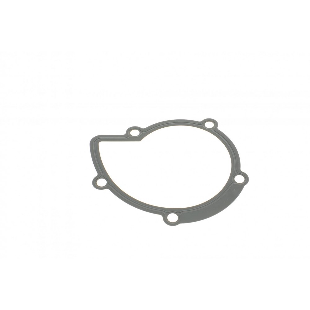 Помпа води Citroen C4/C5/C8/Jumpy/Fiat Scudo/Peugeot 308/407/508/Ford Focus/Mondeo 2.0HDi/TDCi 09-