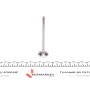 Клапан (впуск/випуск) BMW 3(E46)/5(E60)/6(E63) 2.0D 16V/2.5D 24V 99-10 (26x6x99.9) (азотування)