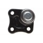 Опора кульова (передня/знизу/R) Audi A3/VW Golf IV 1.4-2.8 96-06 (к-кт)