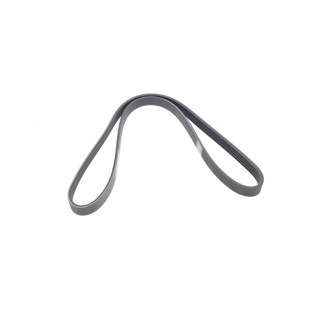 Комплект ременя генератора Peugeot Boxer/Citroen Jumper 2.8D/HDi 99- (5PK1100)
