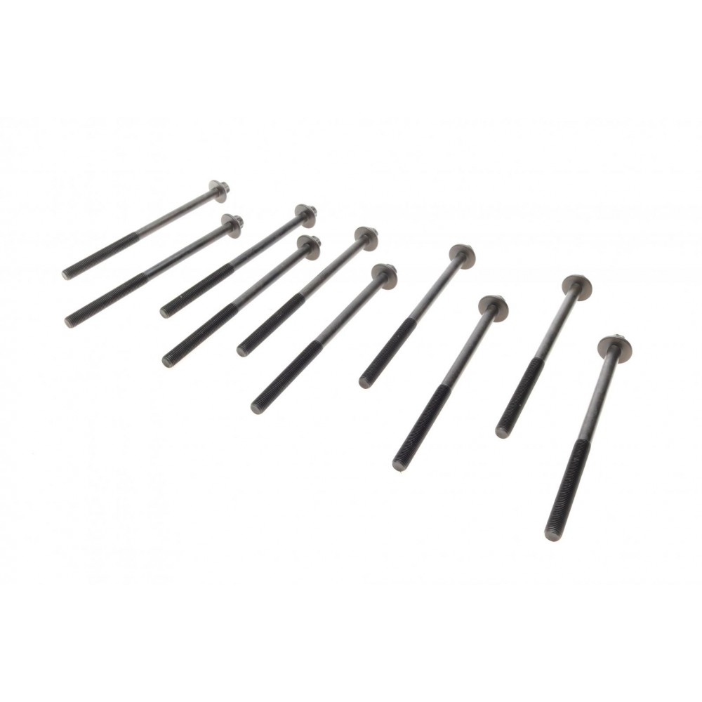 Болти головки (к-кт 10шт.) BMW 3 (E90/F30/F80/G20/G80)/5 (E60/F10/G30/F90)/X5 (F15/F85) 03- N47 D20