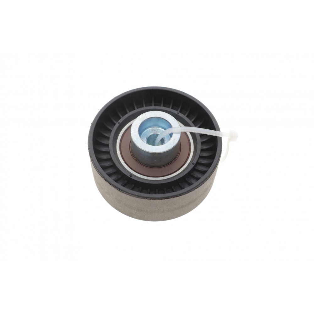 Ролик генератора Citroen Jumper 2.2HDi 06-/ Ford Transit 2.0-2.2TDCi 06- (паразитний) (65х25)