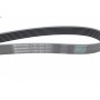Ремінь генератора Renault Kangoo/Megane III/Scenic III 1.2TCe 12- 
