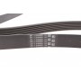 Ремінь генератора BMW X5 (E70) 4.8i 07-08/Renault Master/Opel Movano 2.3 dCi/CDTI 10- (7PK1666)