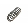 Пружина (передня) BMW X5 (E70) xDrive 06-13 (M57/N57/N52/N55/N62) (B3)