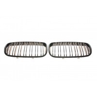 Решітка радіатора BMW X5 (E70)/X6 (E71) 06-14 (к-кт)