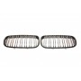 Решітка радіатора BMW X5 (E70)/X6 (E71) 06-14 (к-кт)
